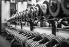 The Next Generation of Muscle Health and Performance